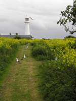 Lighthouse